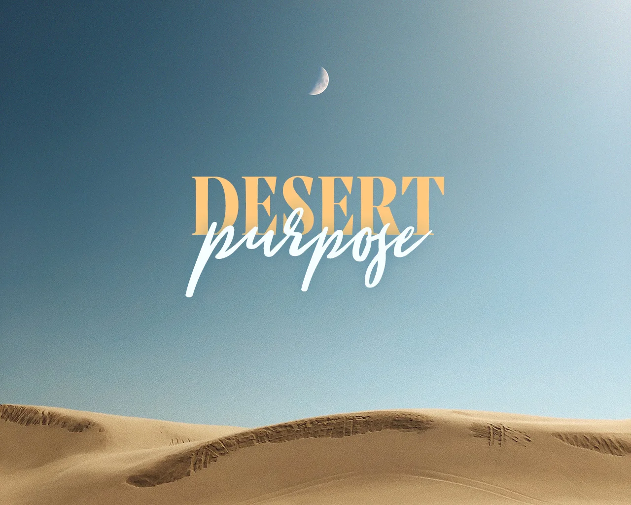 DesertPurpose.jpg