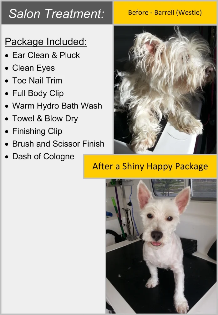 Barrell - Westie.jpg