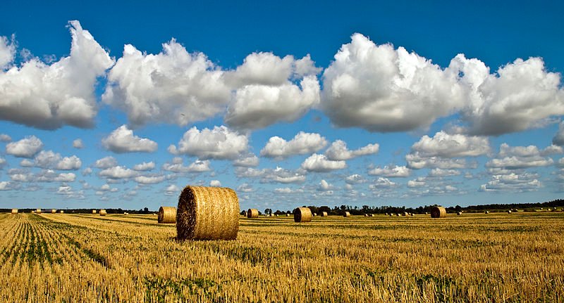 farm-landscape-gotland-sweden.jpg