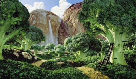foodscapes-carl-werner-photography.jpg