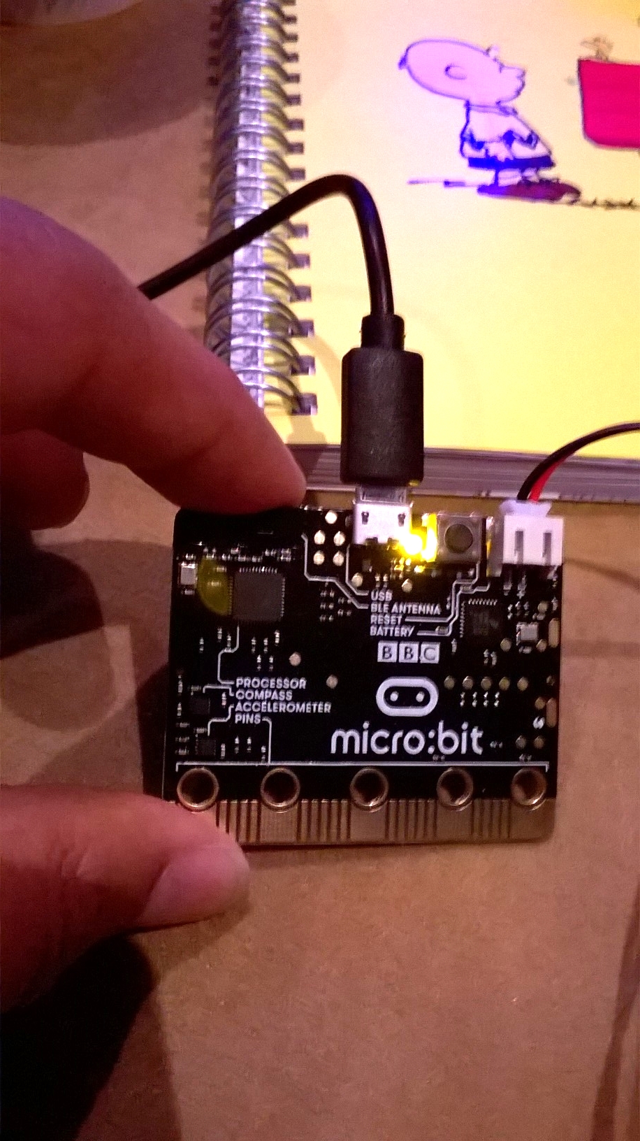 BBC Micro:Bit