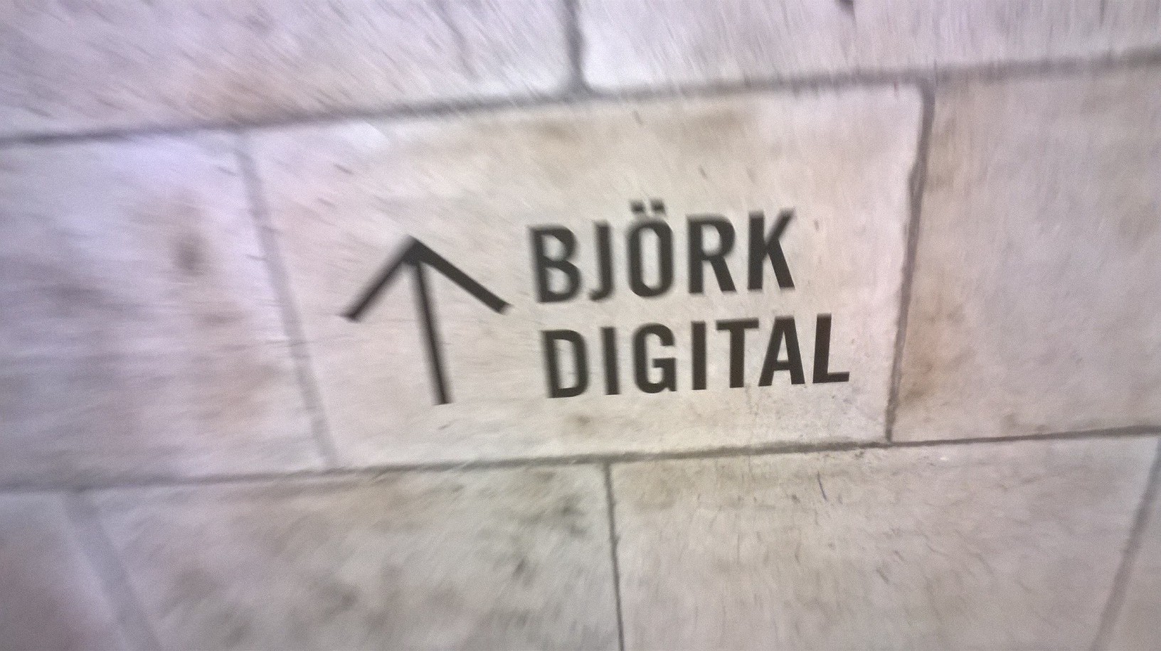 Bjork Digital