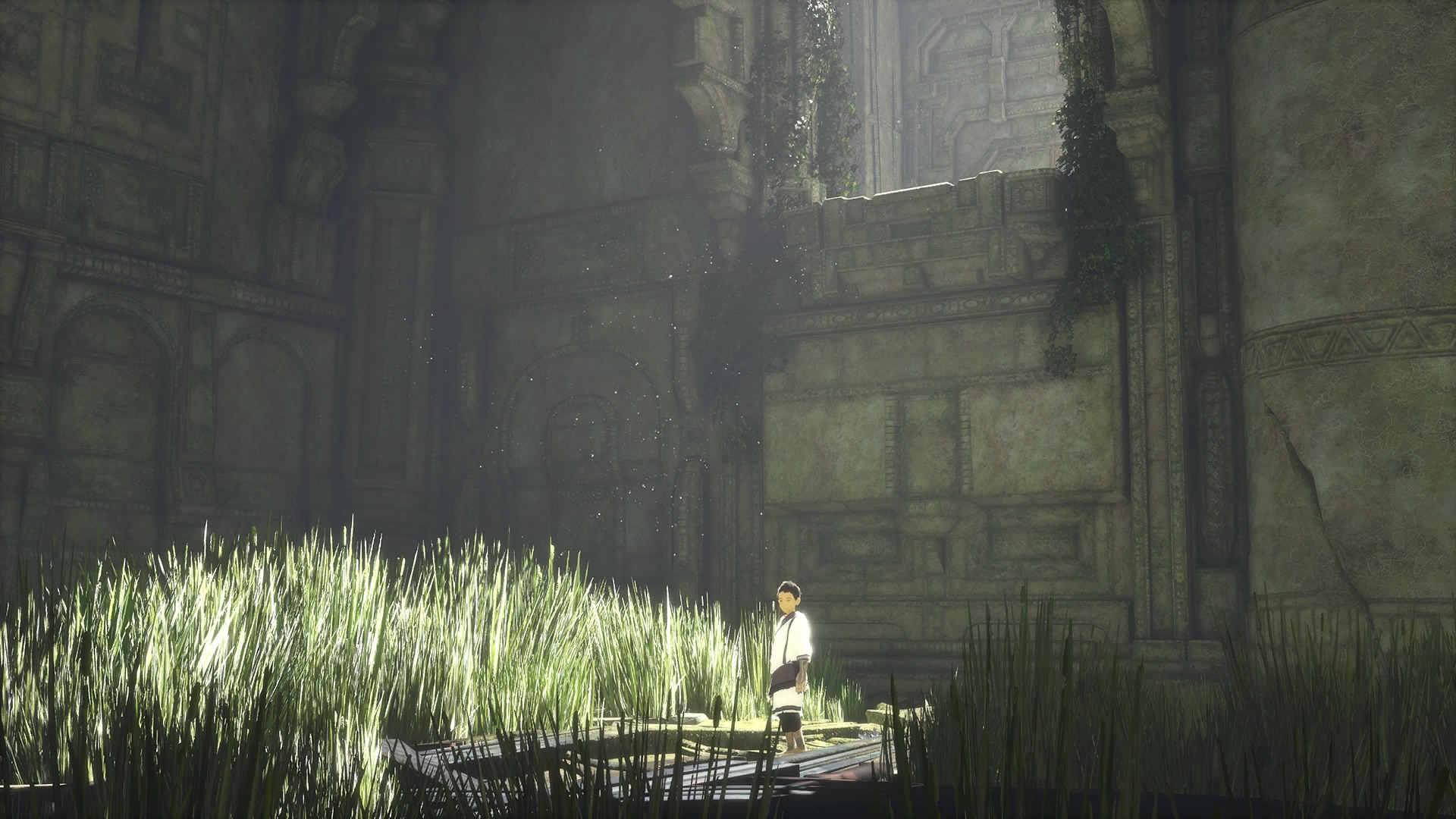 The Last Guardian- Video Games As Art