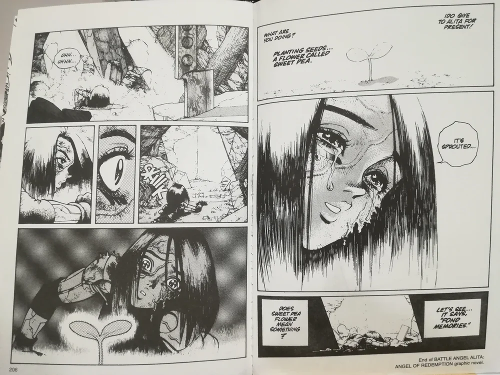 Battle Angel Alita Finally Ends