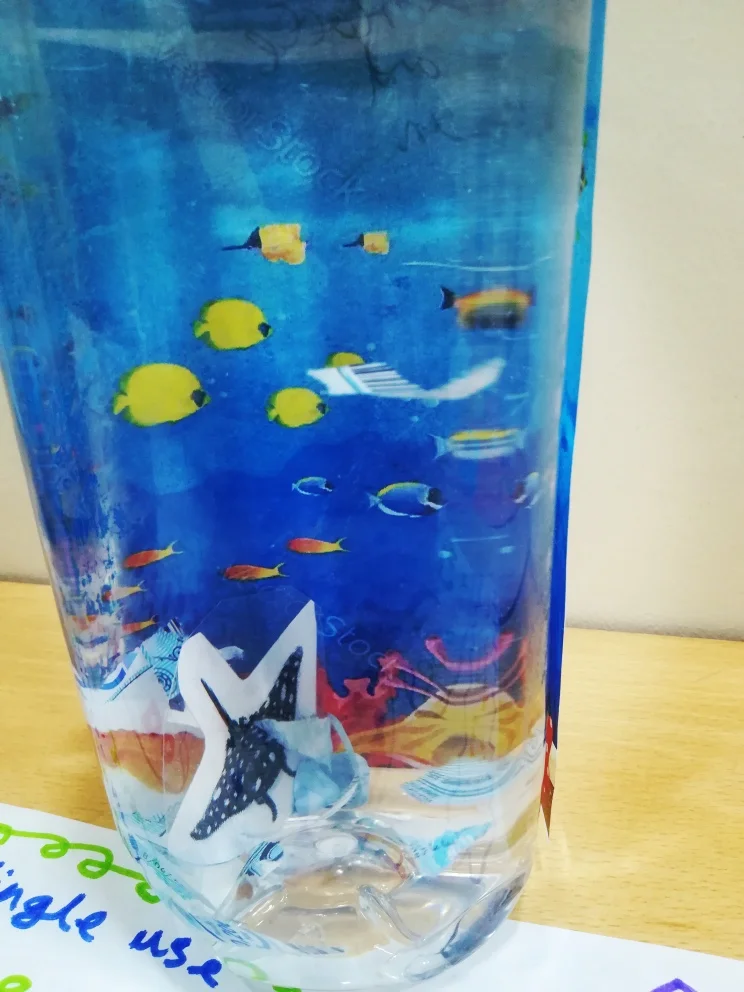 Plastic Pollution Project