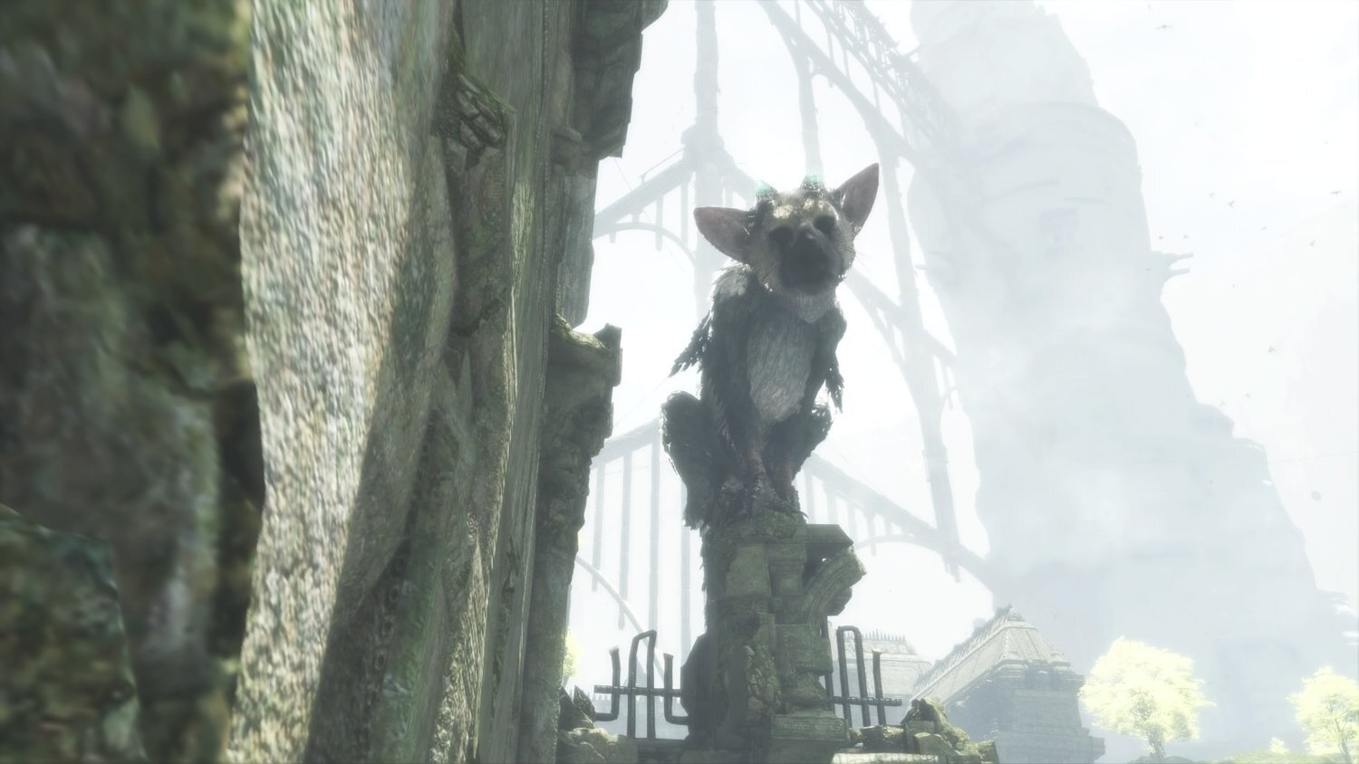 The Last Guardian.jpg