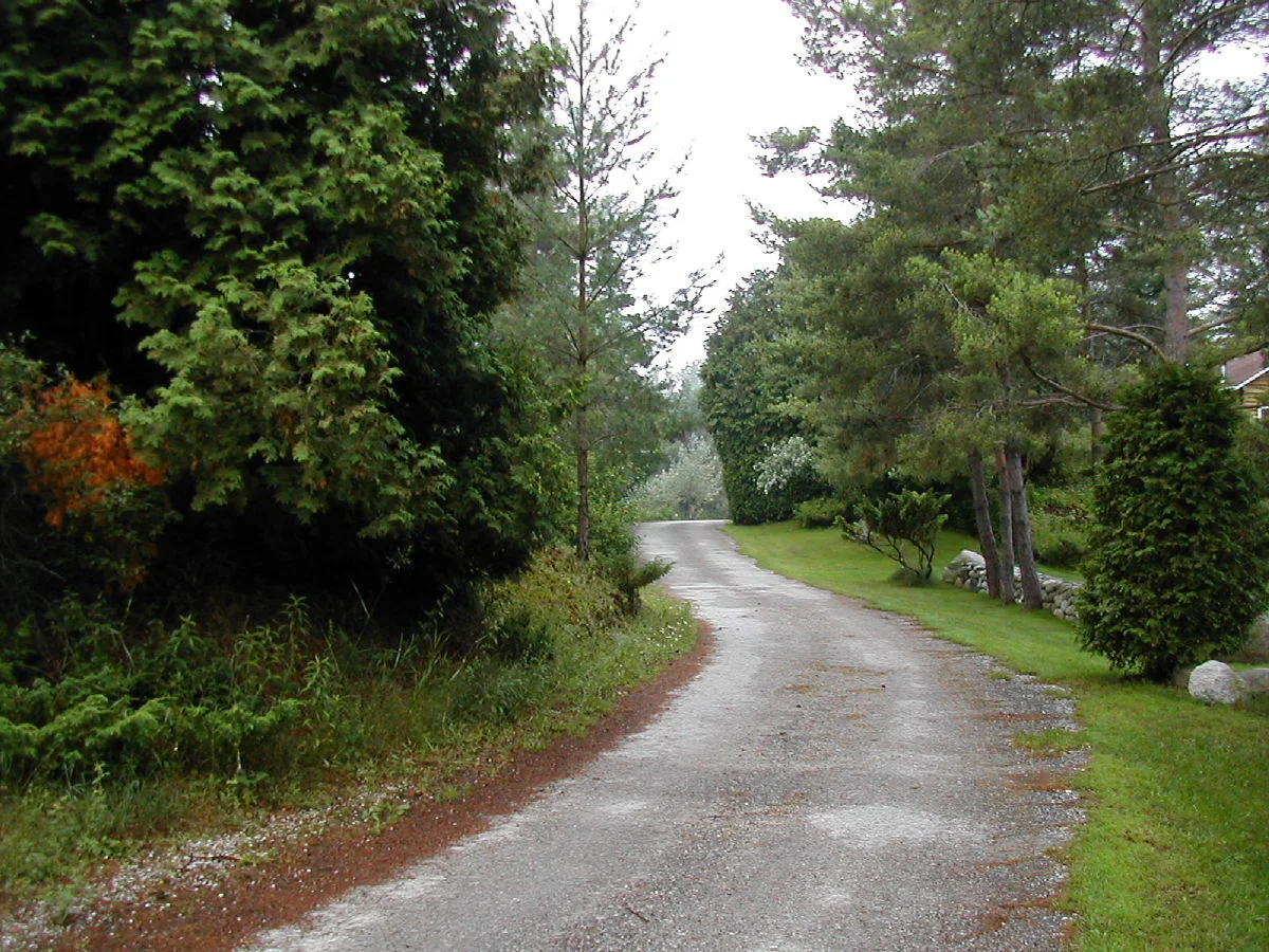 DSCN1445.JPG