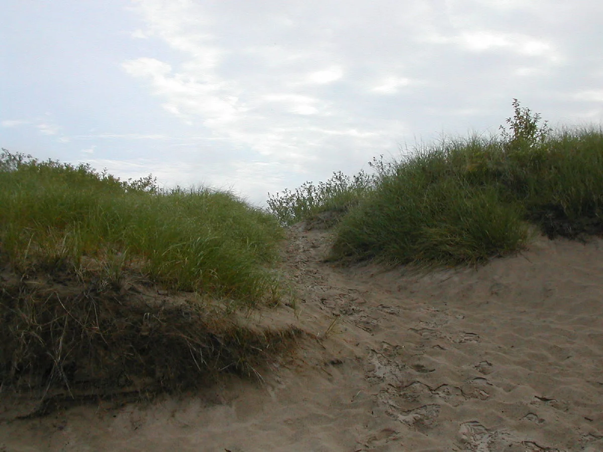 DSCN1461.JPG