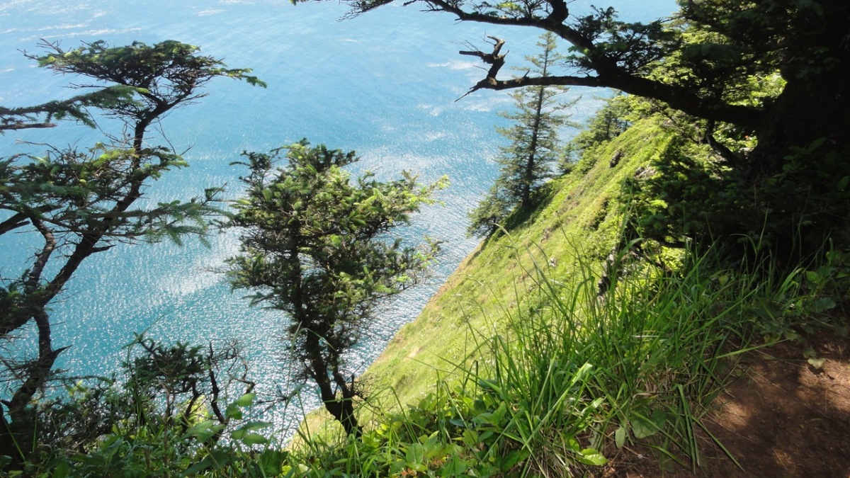 oregon2011121.jpg