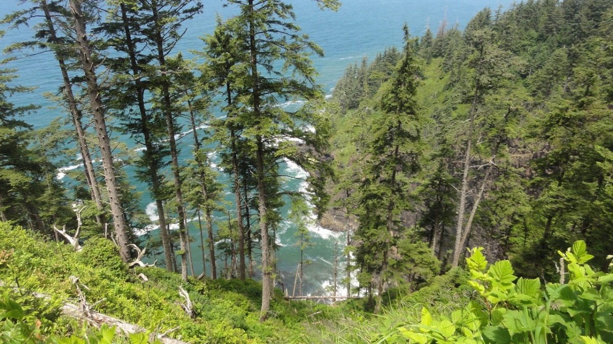 oregon2011119.jpg