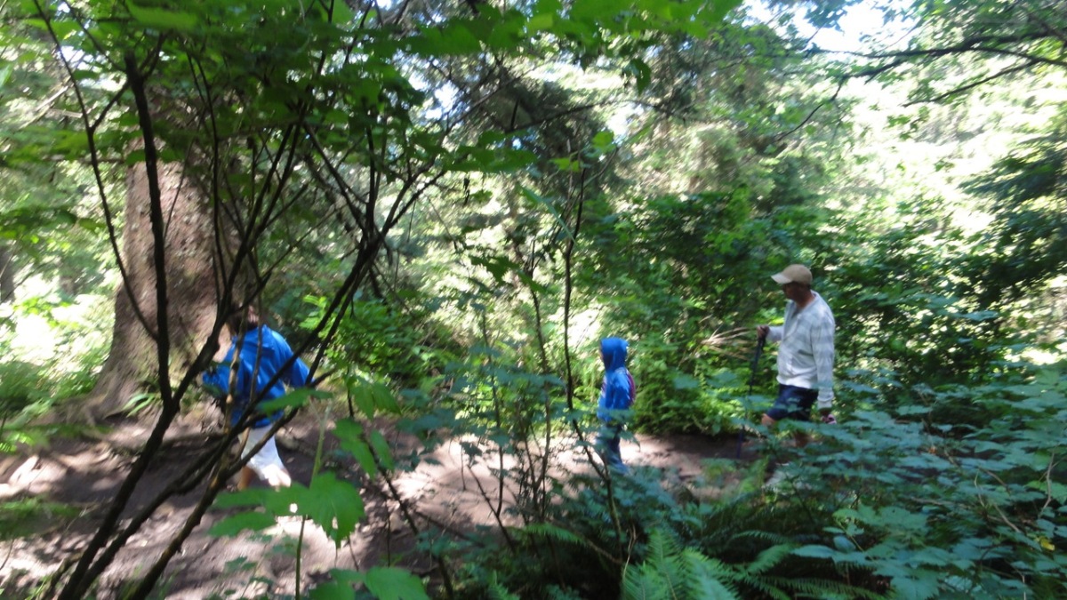 oregon2011114.jpg