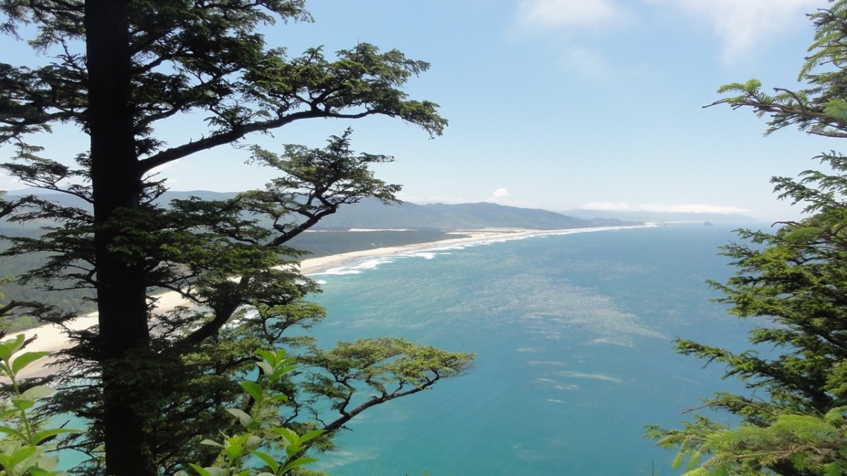 oregon2011110.jpg