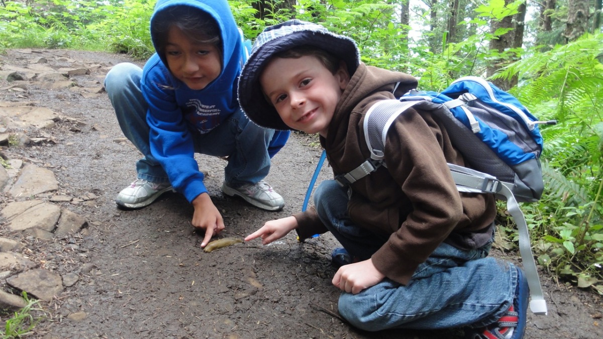 oregon2011108.jpg