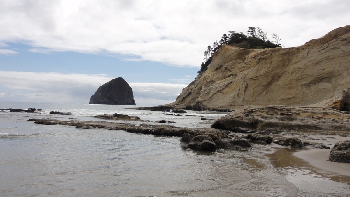 oregon2011039.jpg