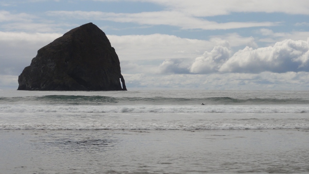 oregon2011037.jpg