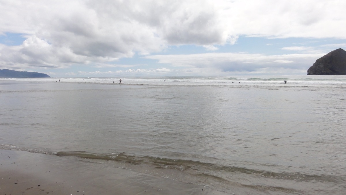 oregon2011036.jpg
