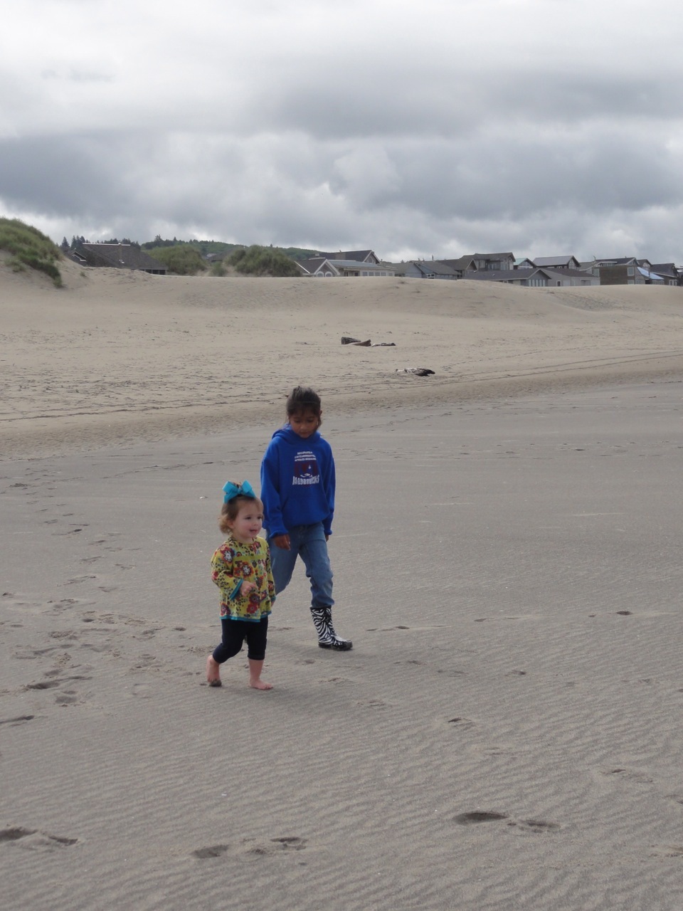 oregon2011006.jpg