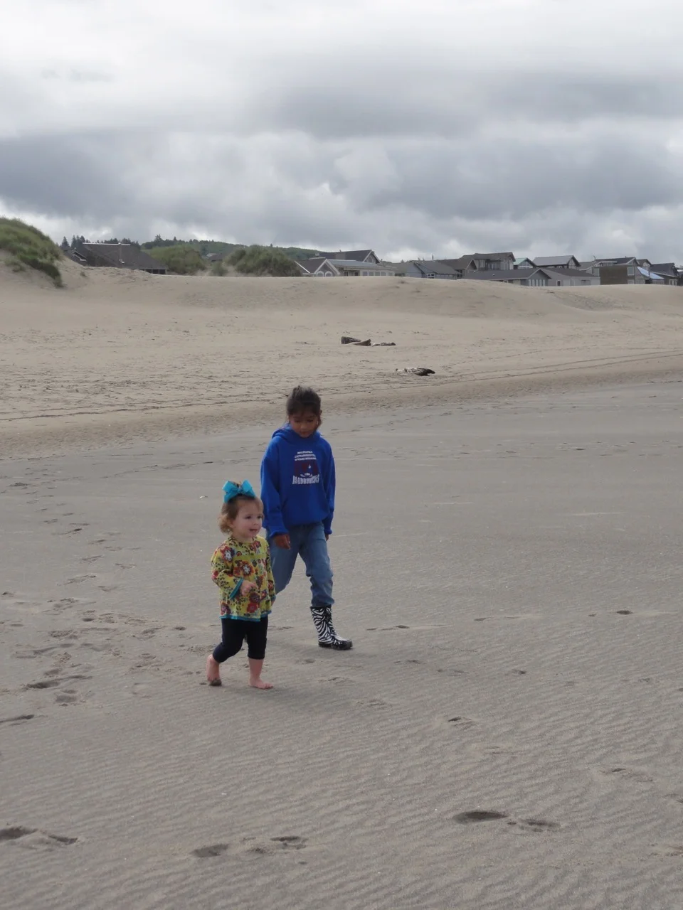 oregon2011006.jpg