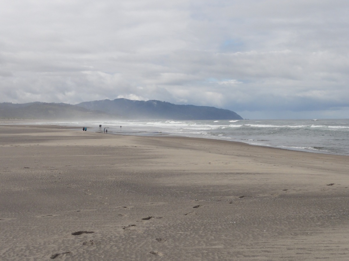 oregon2011004.jpg