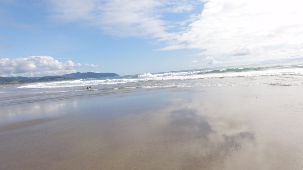 oregon2011063.jpg