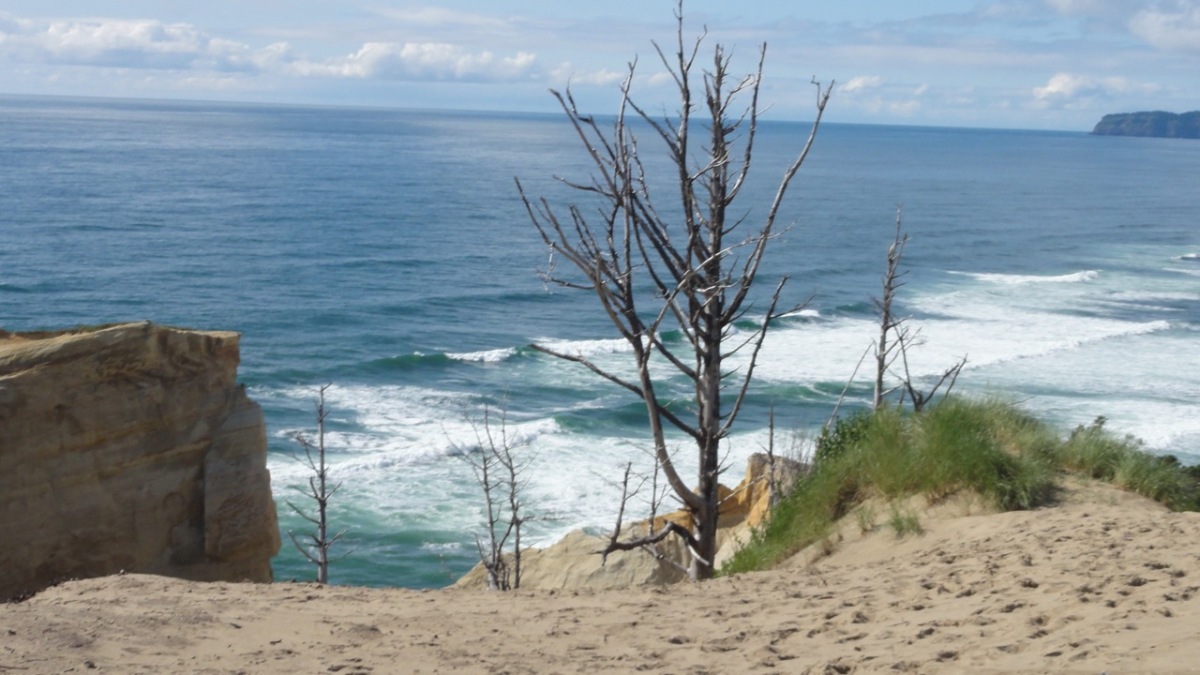 oregon2011056.jpg