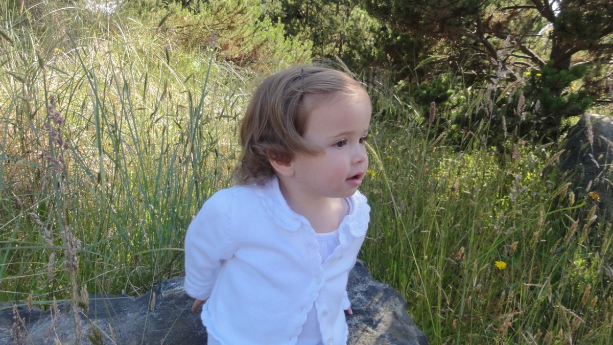 oregon2011083.jpg