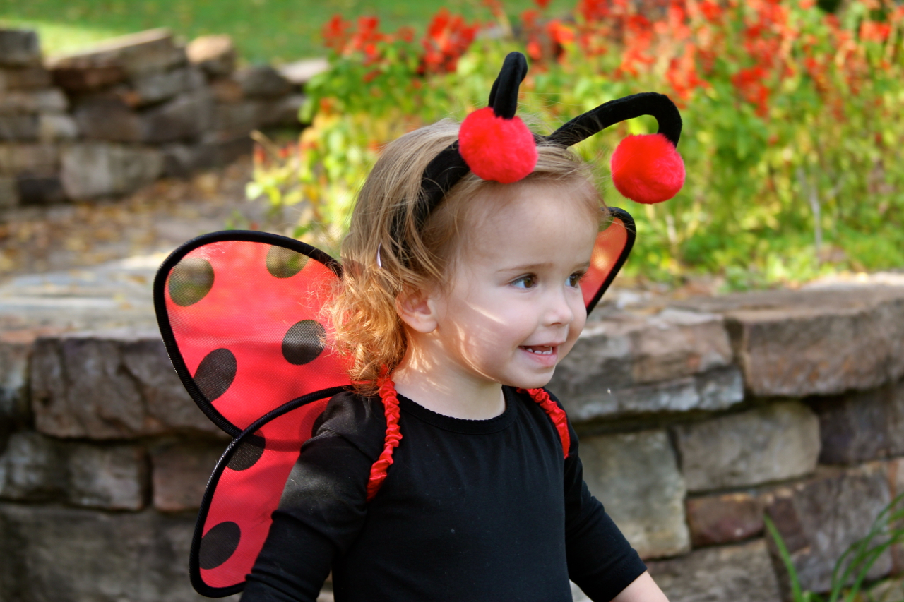 fall2011 - 08.jpg