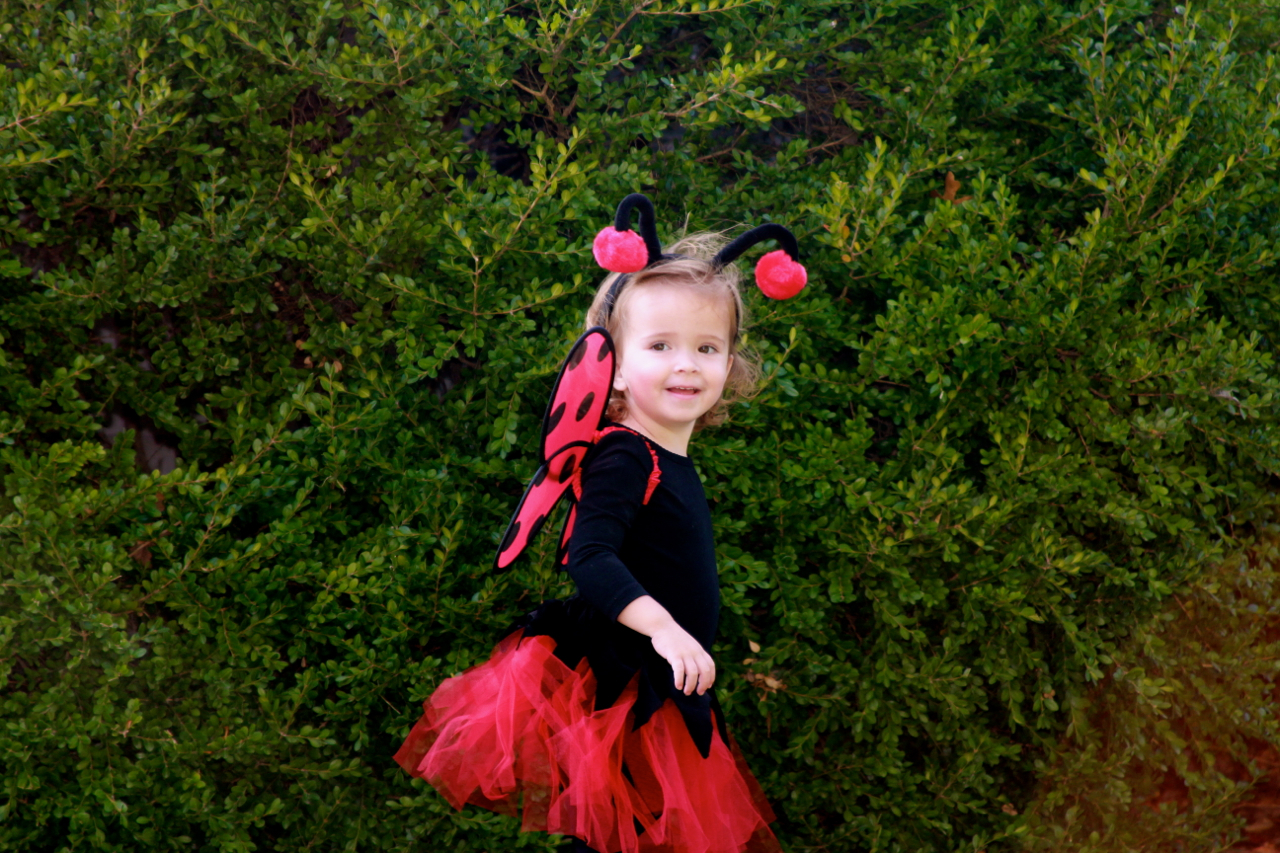 fall2011 - 01.jpg