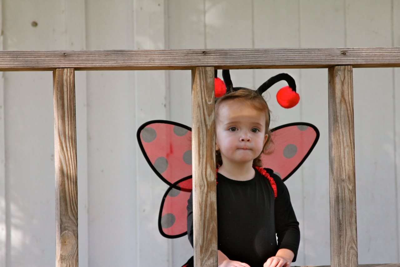 fall2011 - 07.jpg