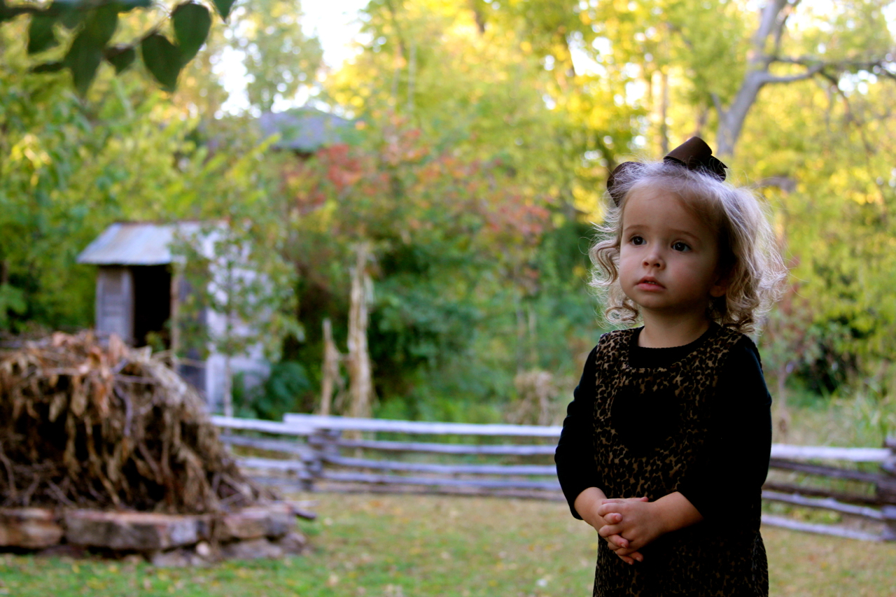 fall2011 - 30.jpg