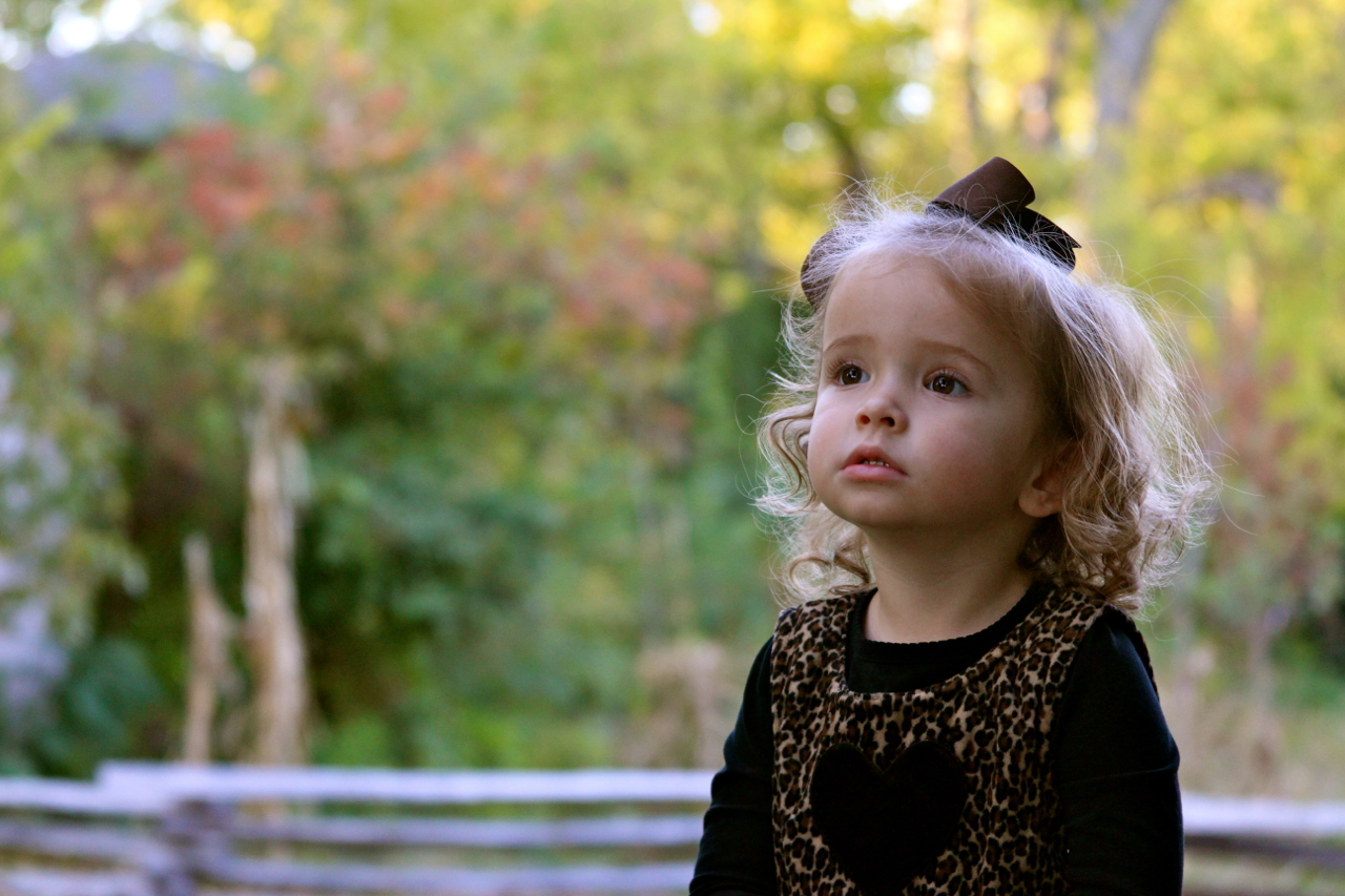 fall2011 - 31.jpg