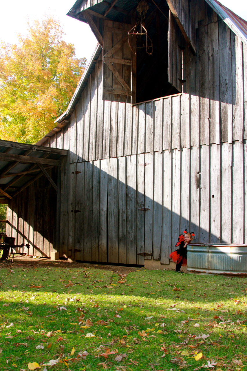 fall2011 - 05.jpg