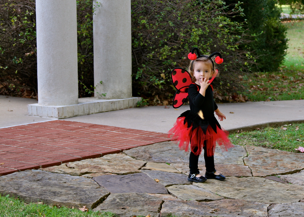 fall2011 - 02.jpg