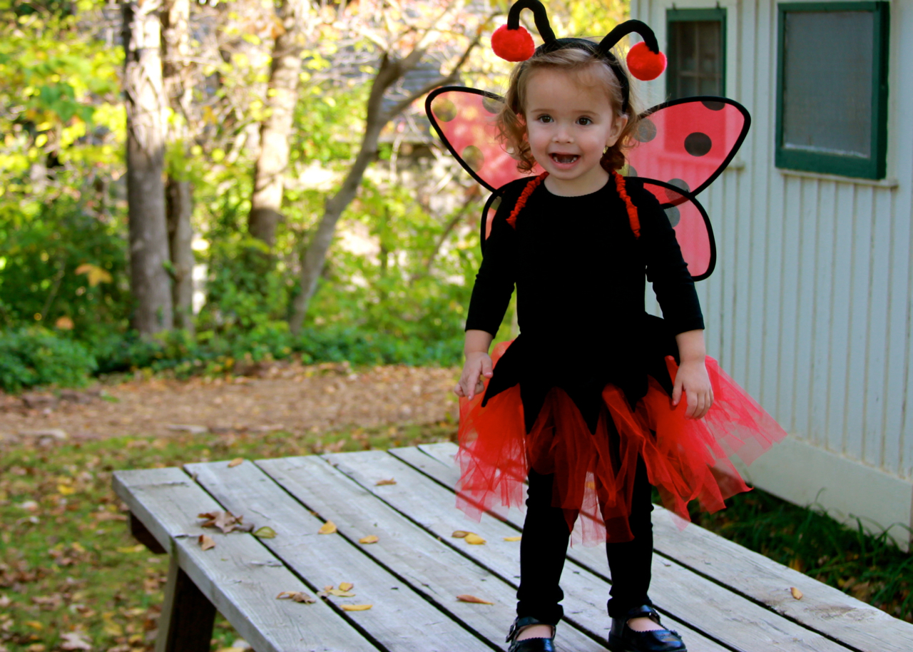 fall2011 - 03.jpg