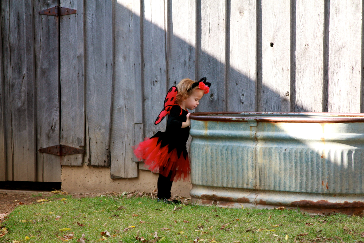 fall2011 - 04.jpg