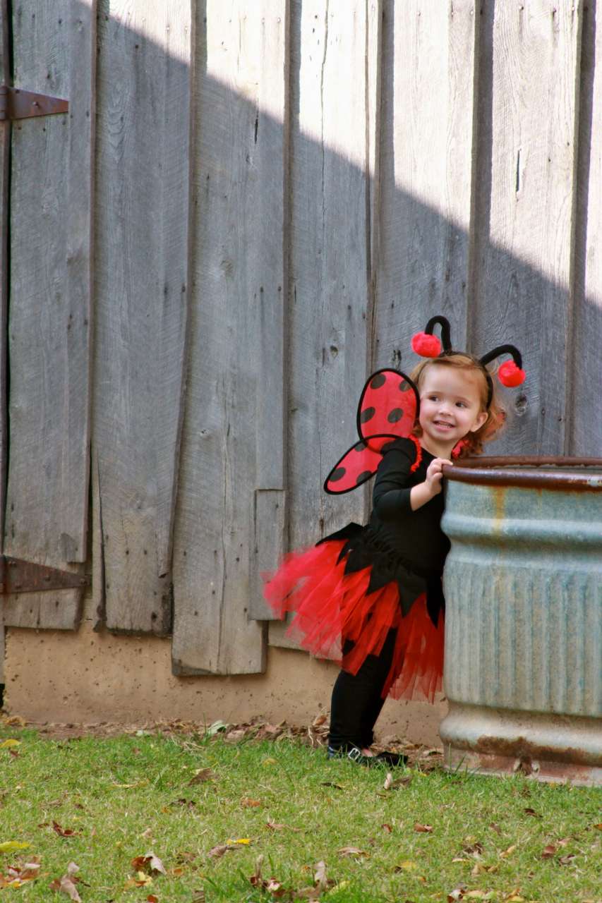 fall2011 - 06.jpg