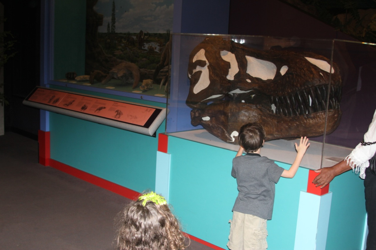stlouis201153.jpg