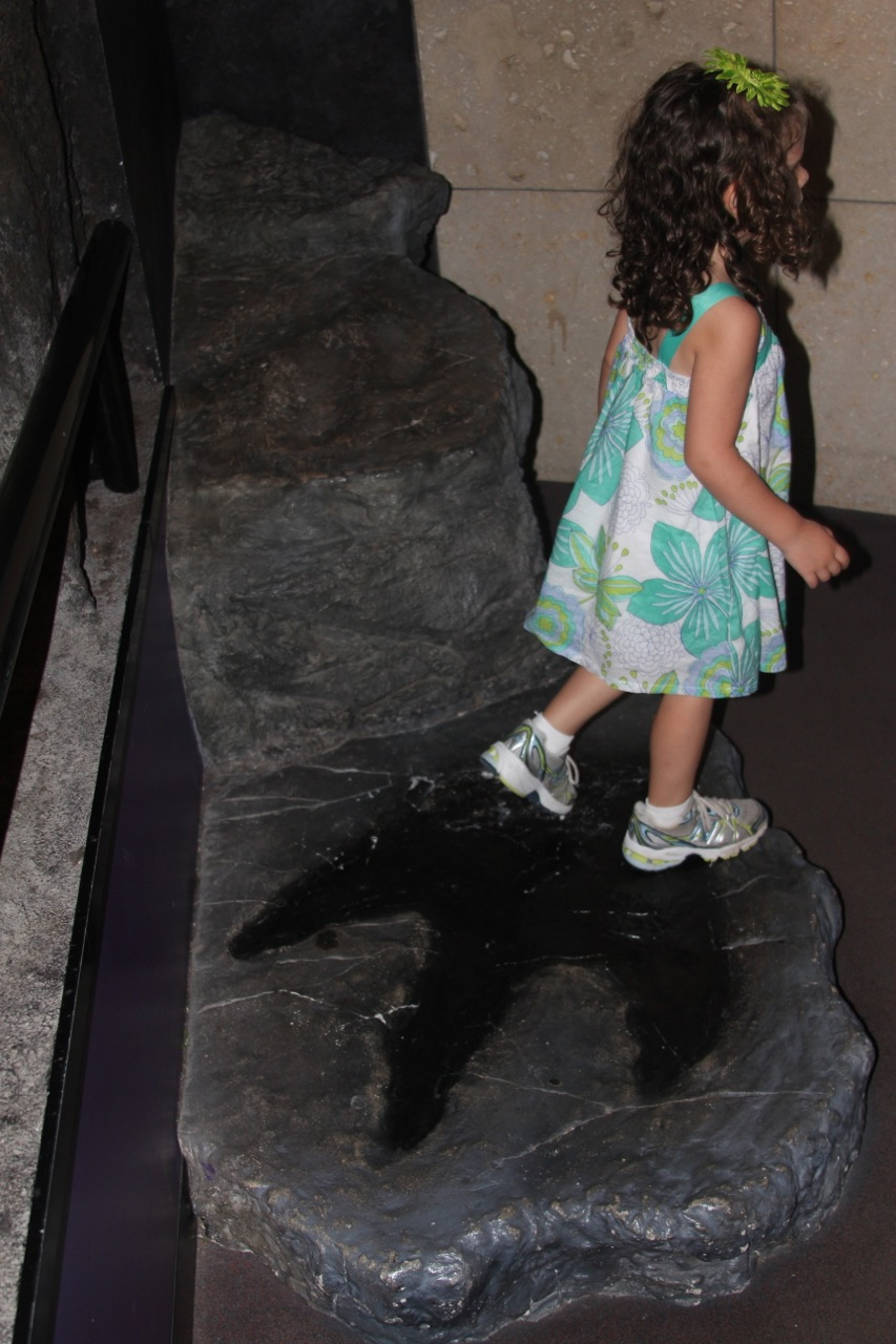 stlouis201159.jpg