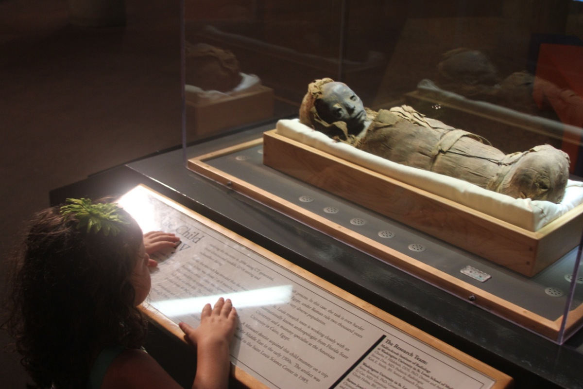 stlouis201160.jpg