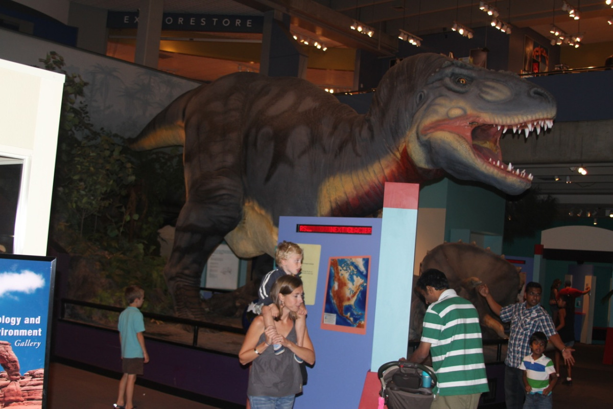 stlouis201157.jpg