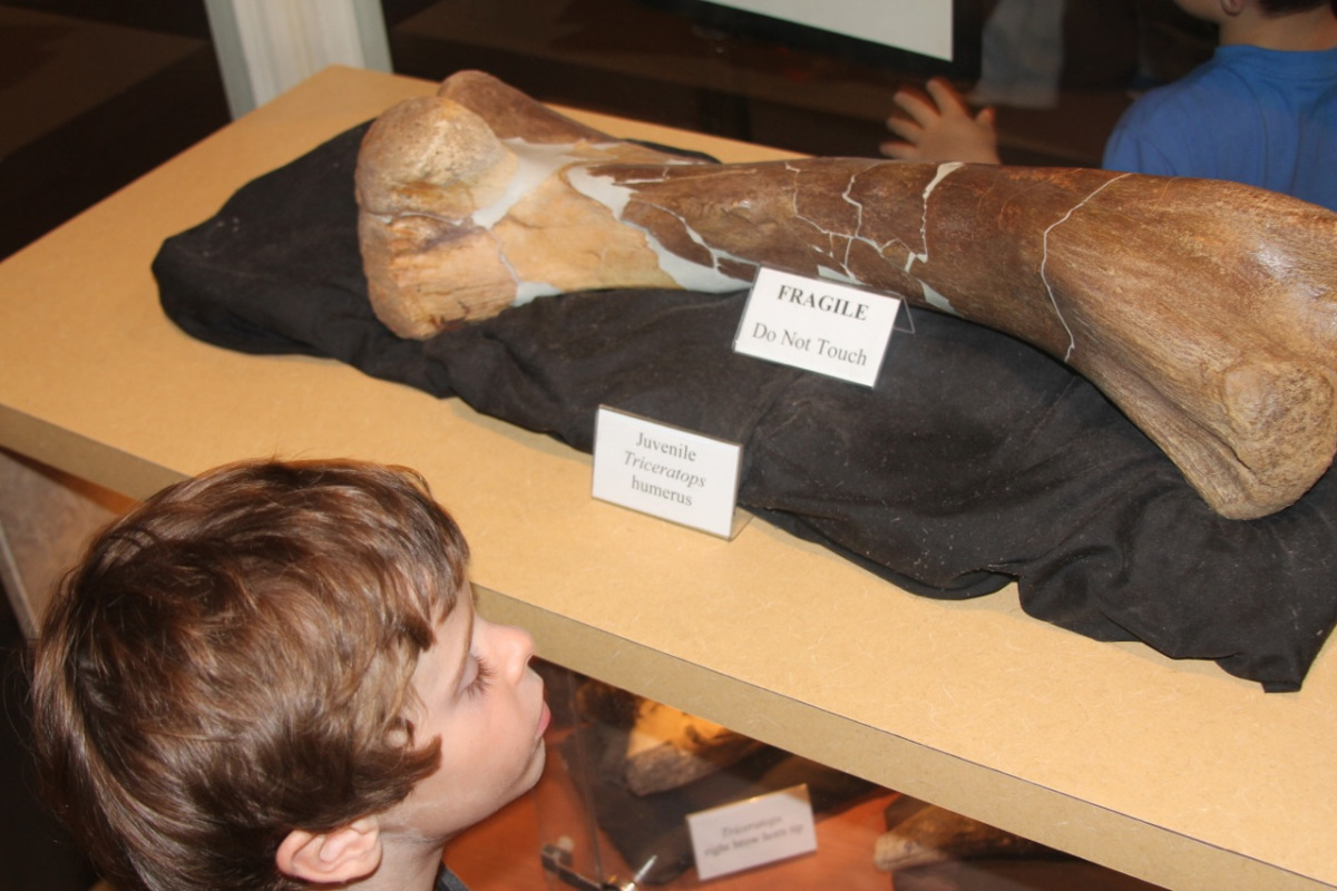 stlouis201156.jpg