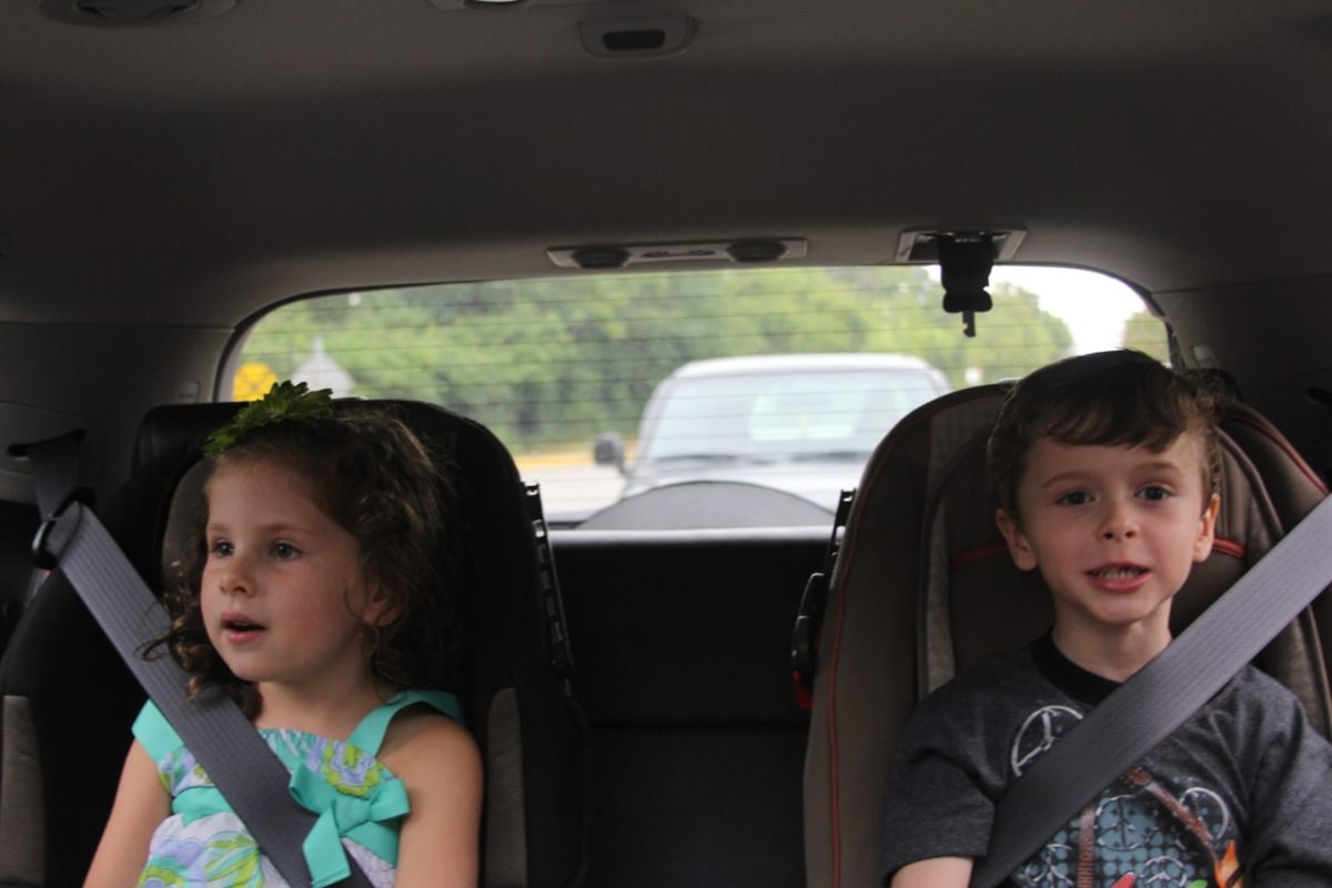 stlouis201142.jpg