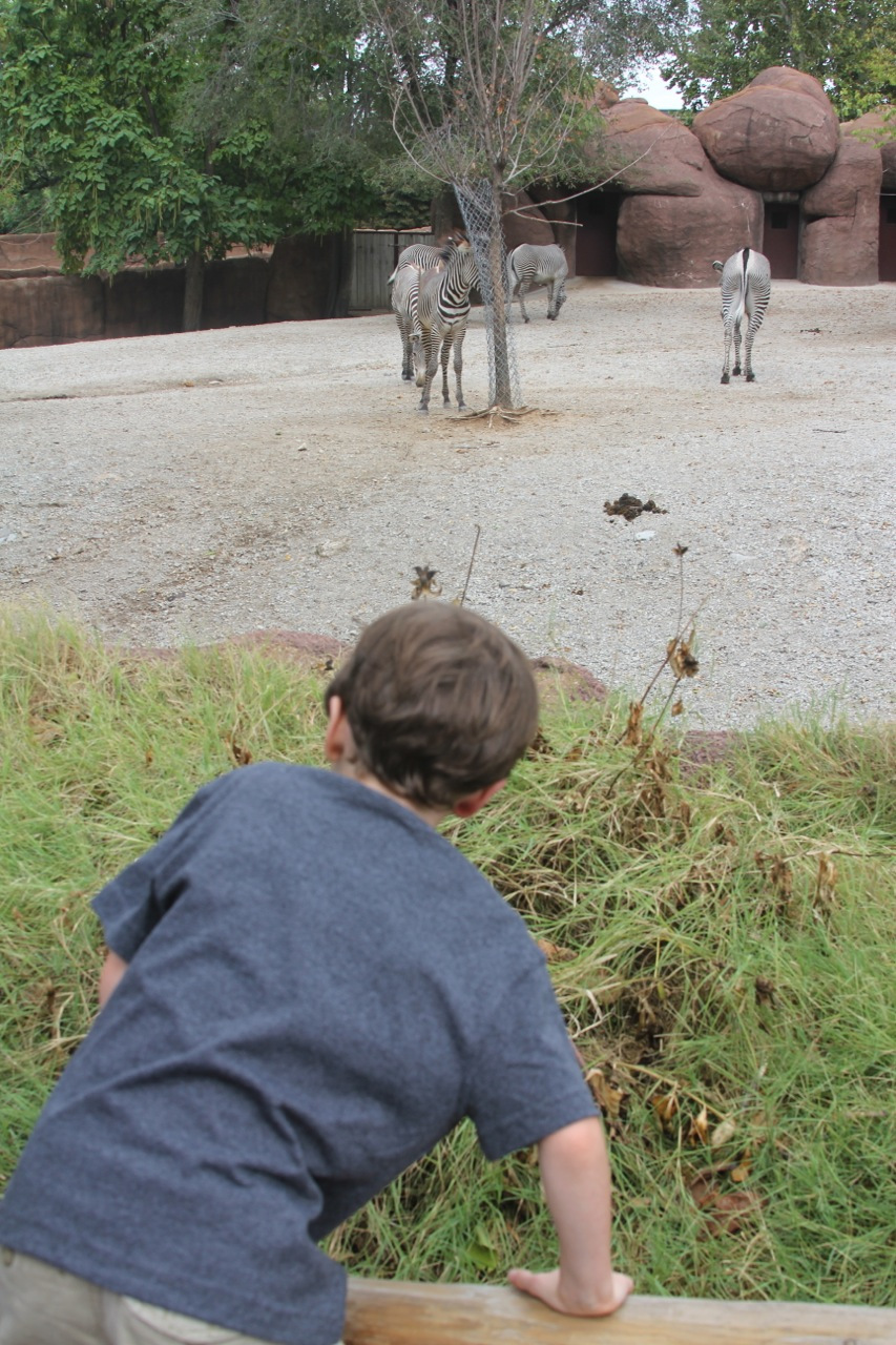 stlouis201150.jpg