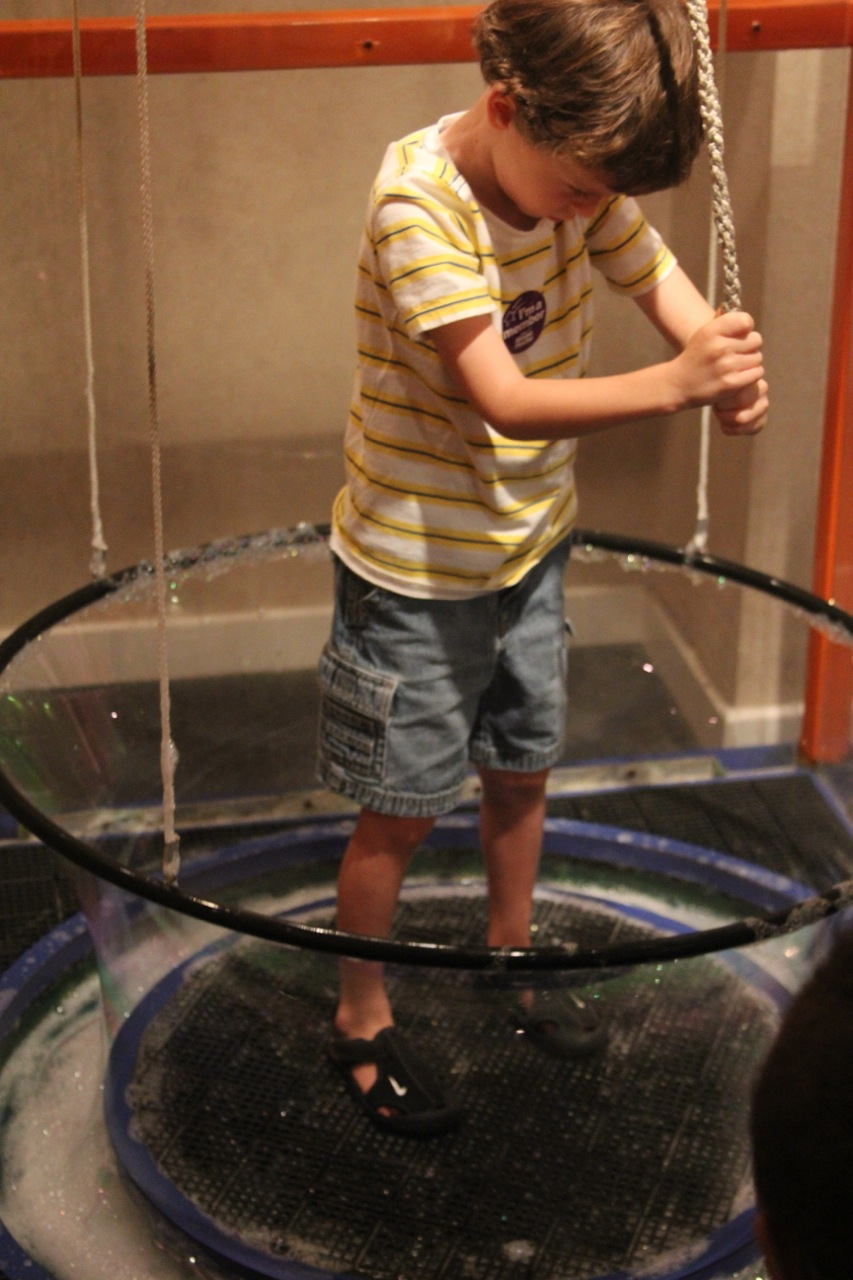 stlouis201135.jpg