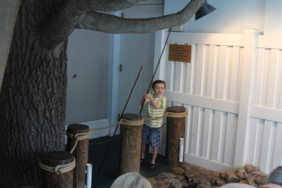 stlouis201104.jpg