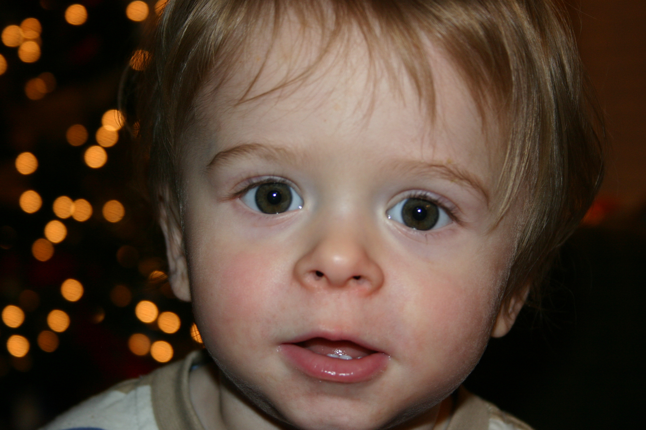img_9366.jpg