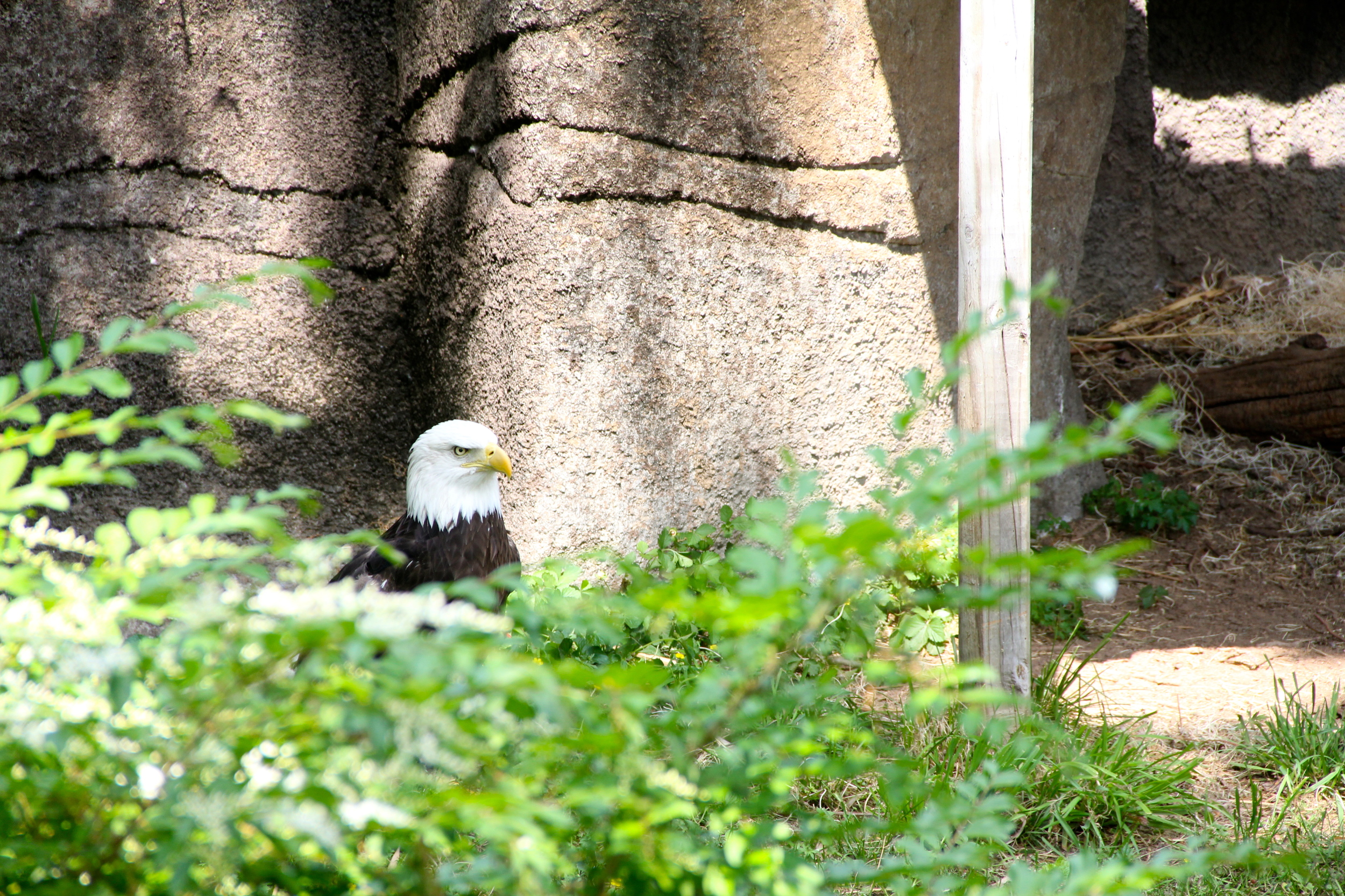 IMG_4843.JPG