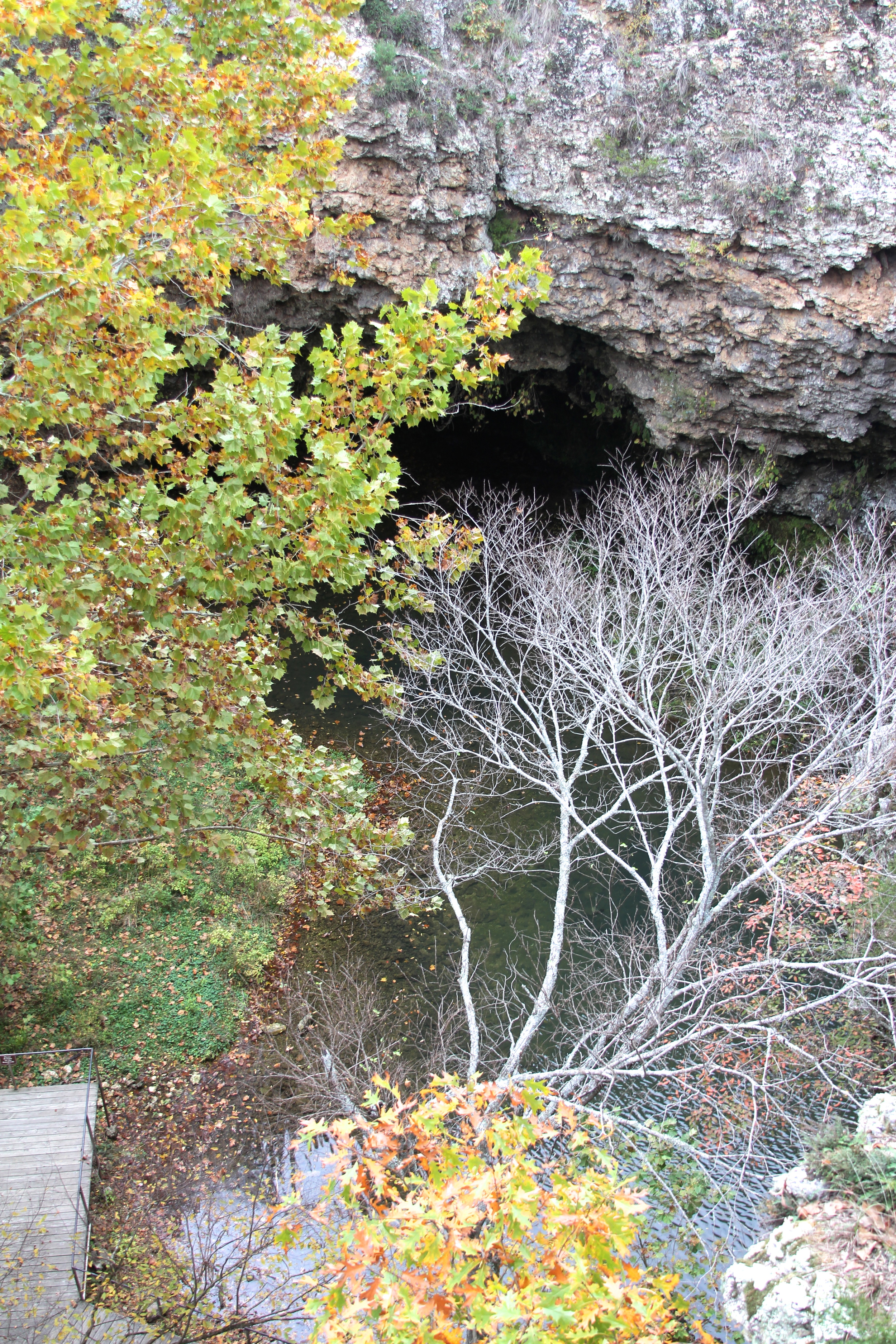 IMG_7513.jpg