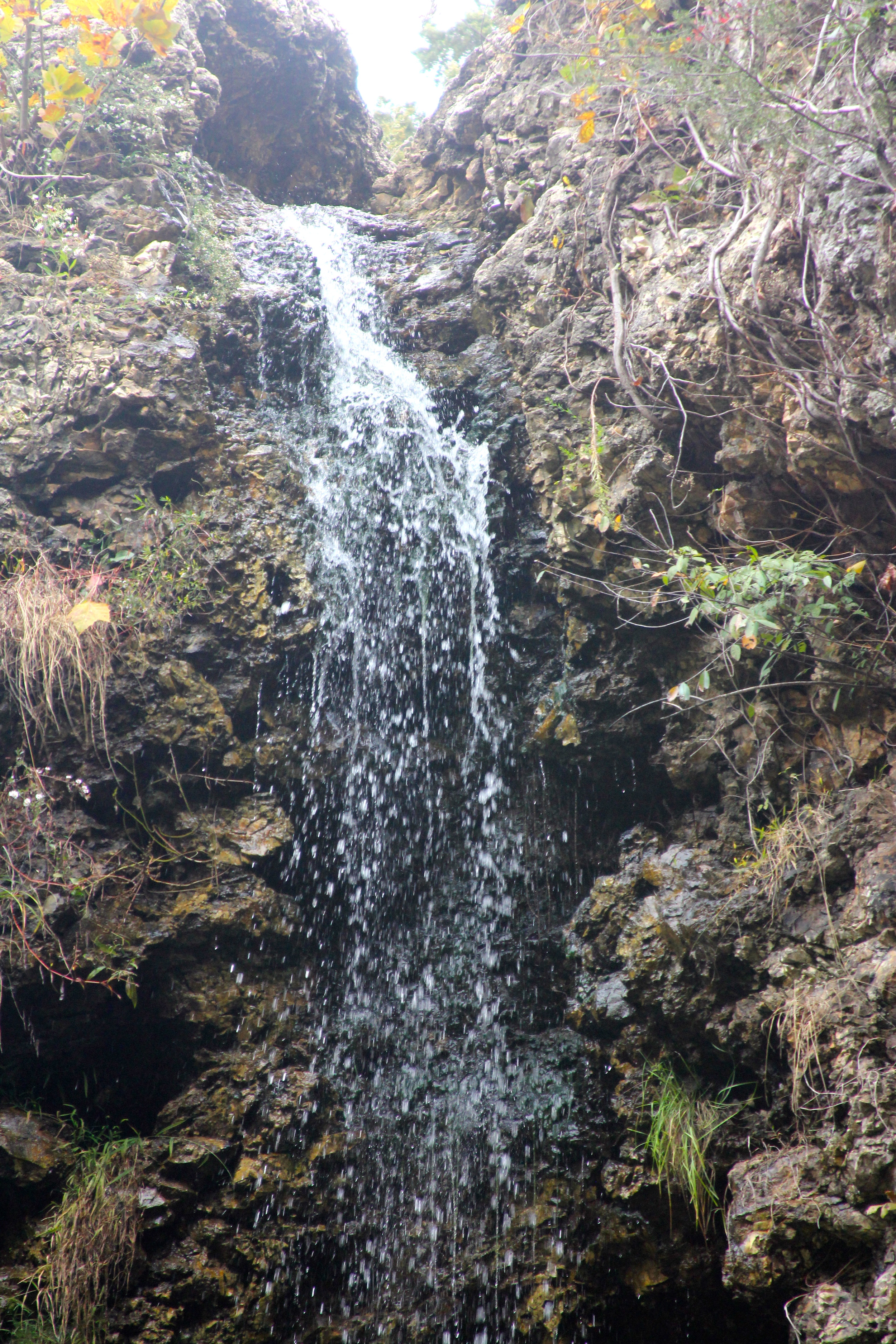 IMG_7549.jpg