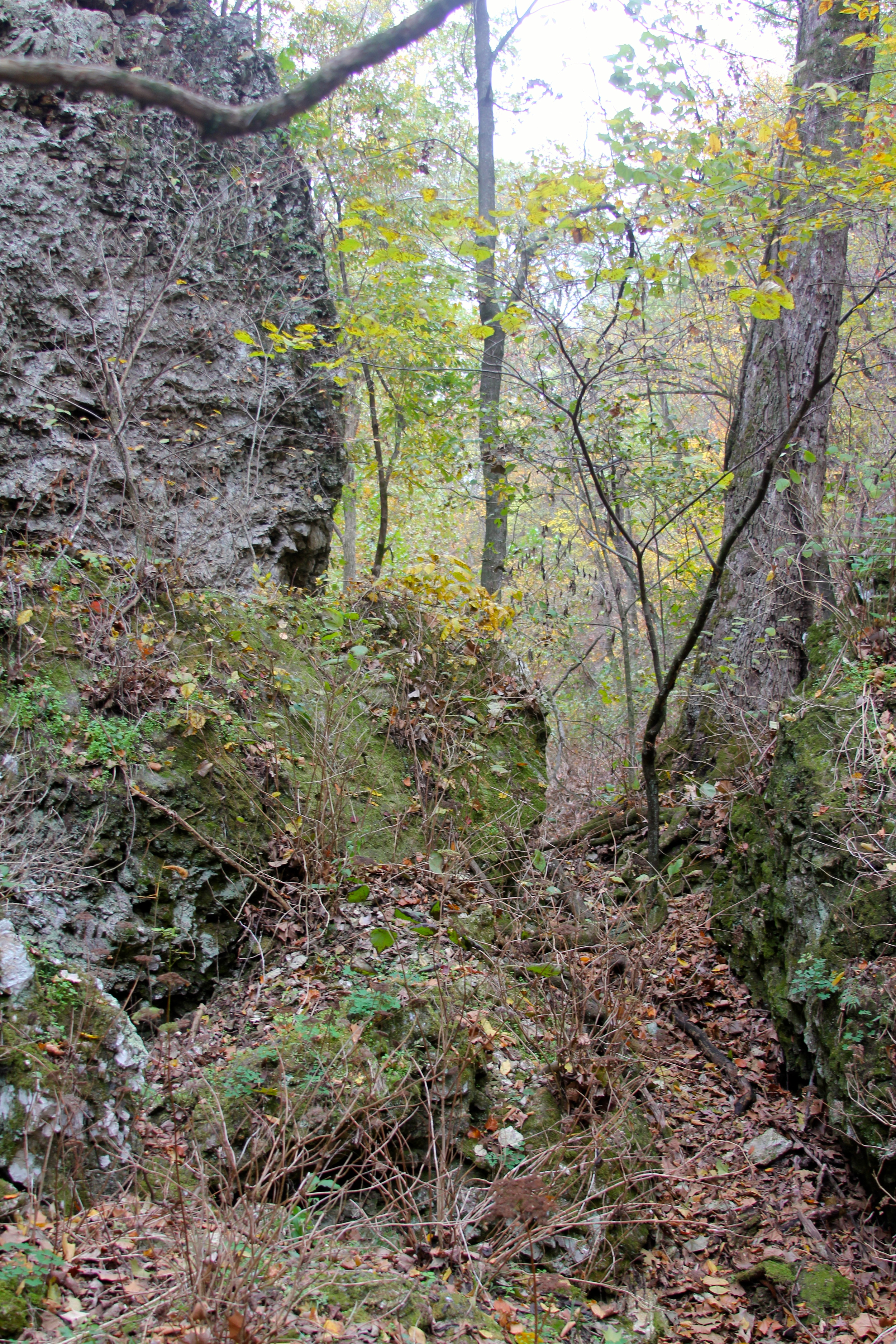 IMG_7565.jpg